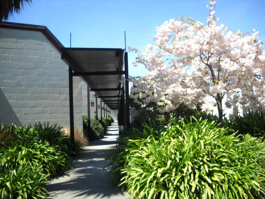 Gothic Heights Motel Christchurch Ngoại thất bức ảnh